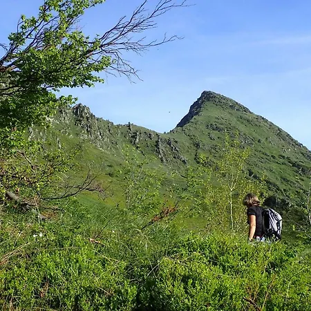 Soum De L'ase 3* Grust